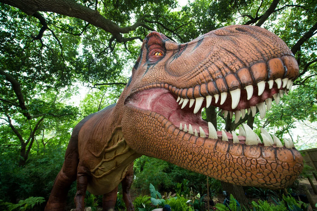 Dinosaurs 2016-0054-0477.jpg