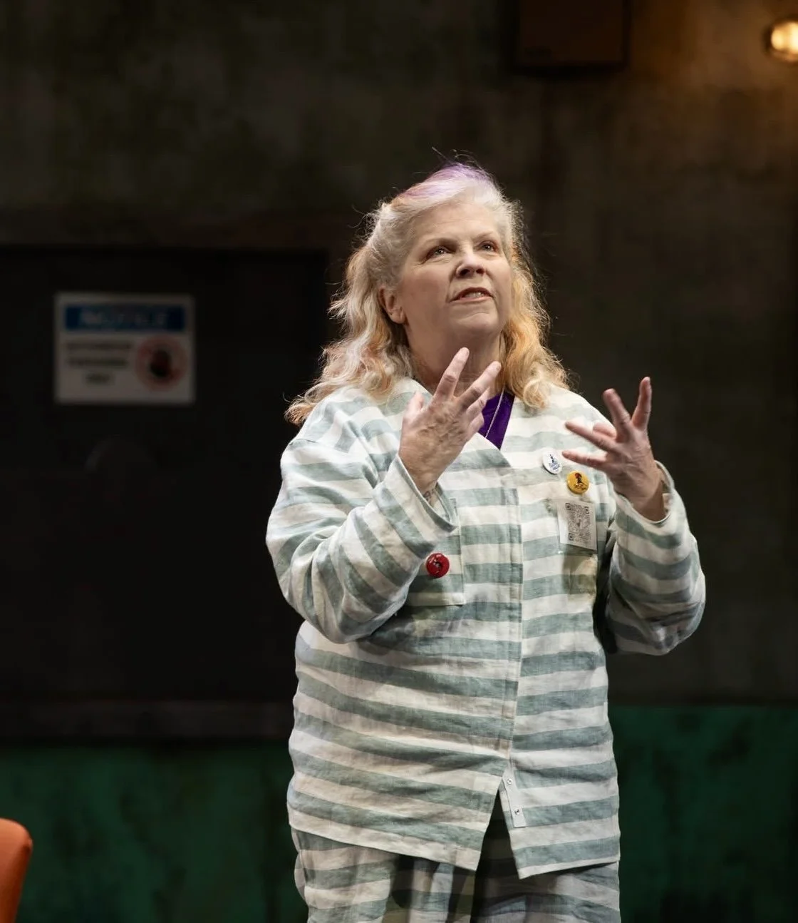 Facility for Living, Flint Repertory Theatre, 2025 (Photographer - Mike Naddeo) Role: Judy Hart