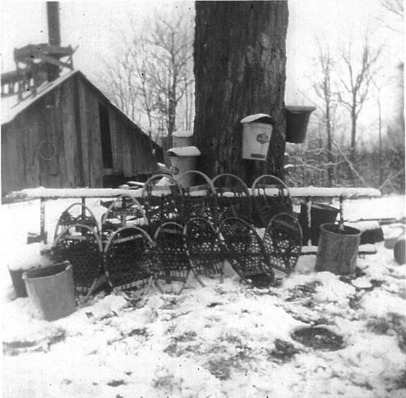 Maple Sugaring circa 1950s