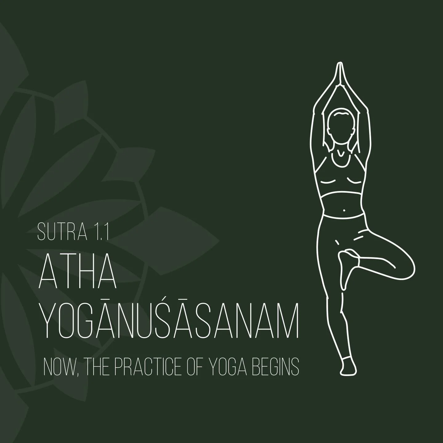Now, atha, the present moment, when there is nothing but the now, that is where the sacred practice of yoga begins.
Come fine your Now, thursday mornings, 7:15-8:15am. Wake up, shake the night off, and start your day on the right foot.
All levels and