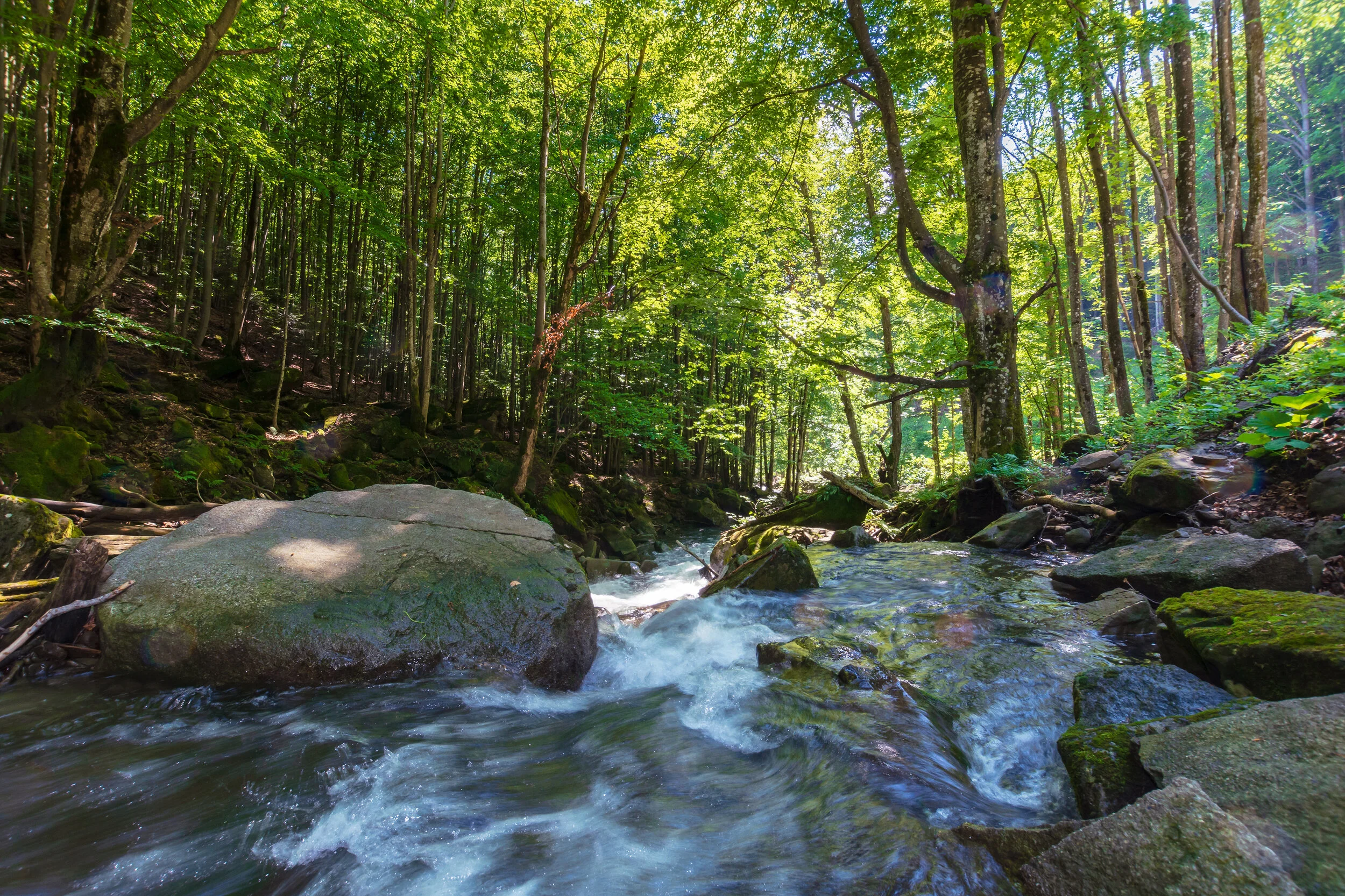 Creek Rock NOTP1.jpeg