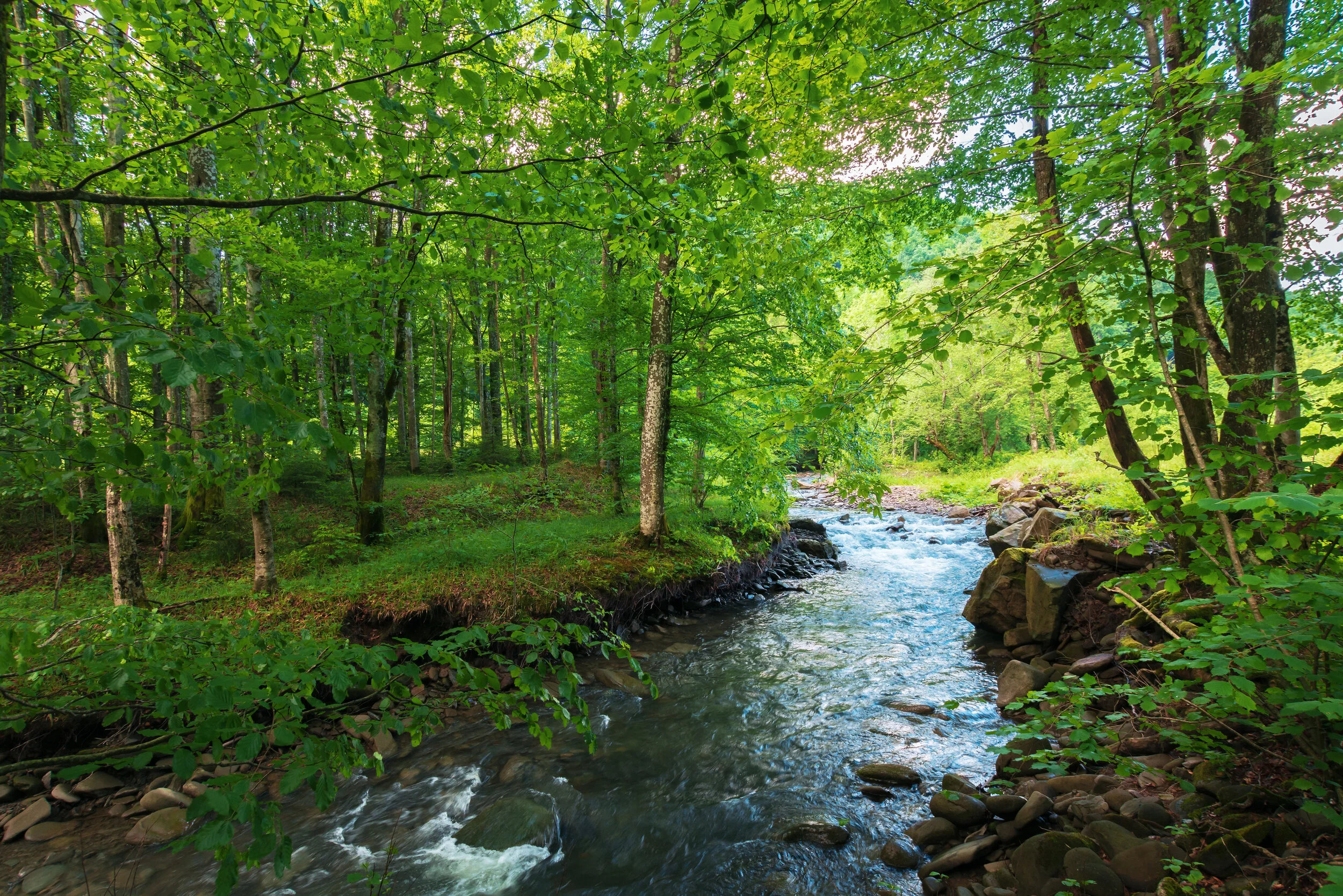 Nick of Time: A Short Story (Part 2)