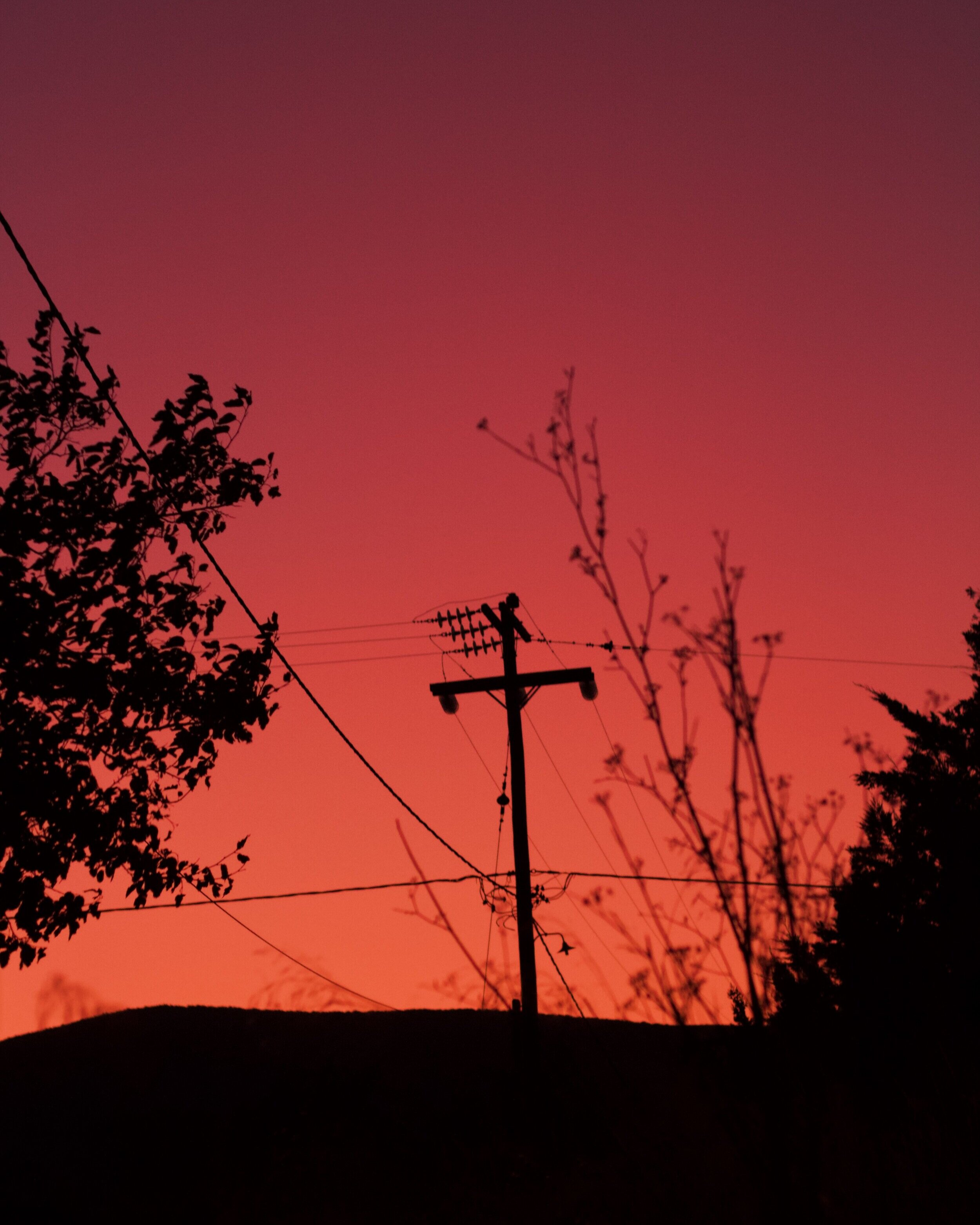 electric pole at sunset