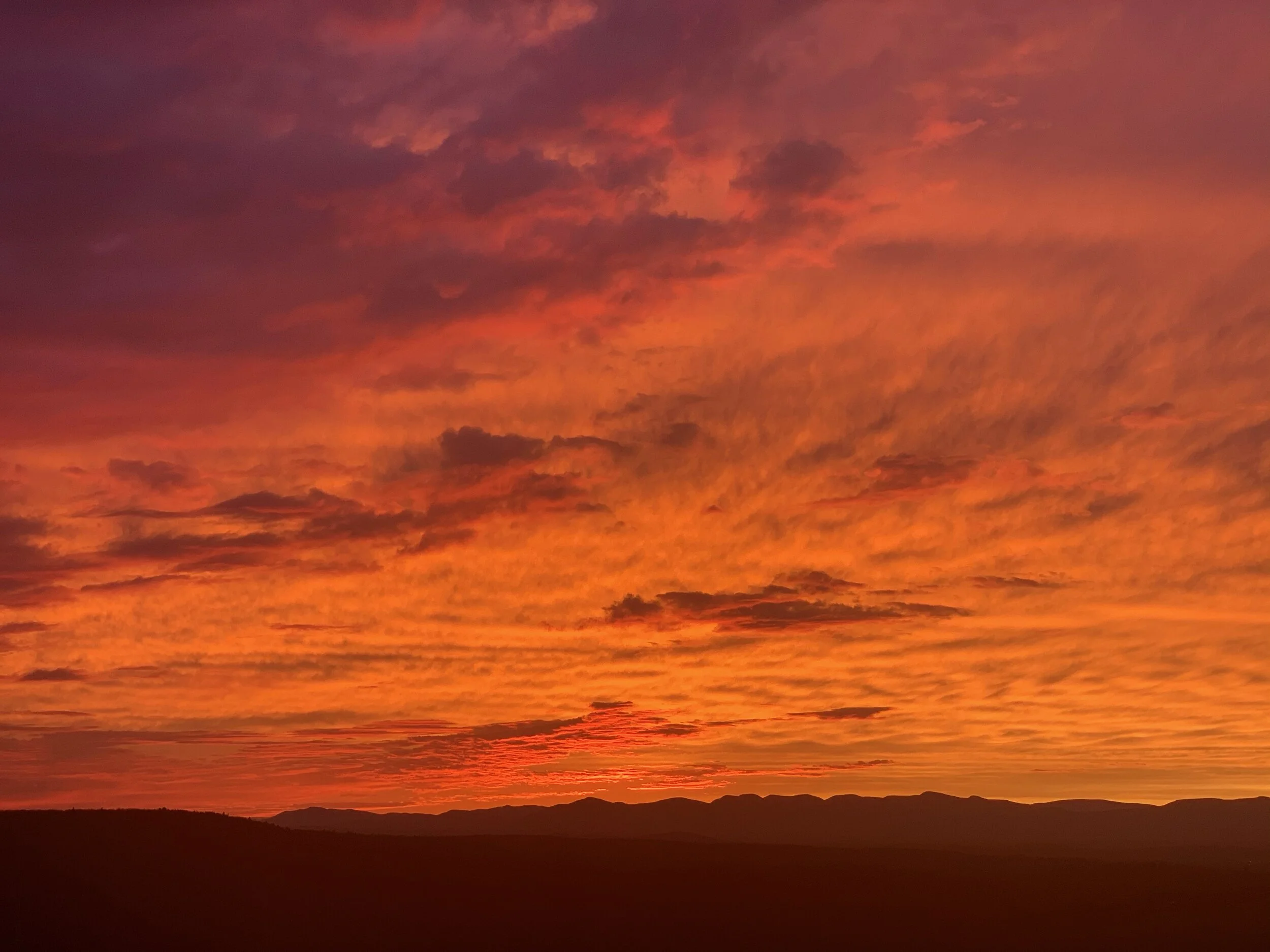 Randy's Rant —&nbsp;#BringOrangeBack: The Stories We Will —&nbsp;and Should — Tell about the 2020 Presidential Election