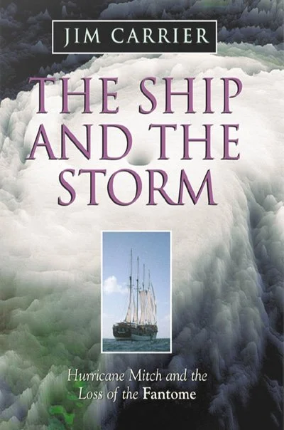 the ship and the storm.jpg