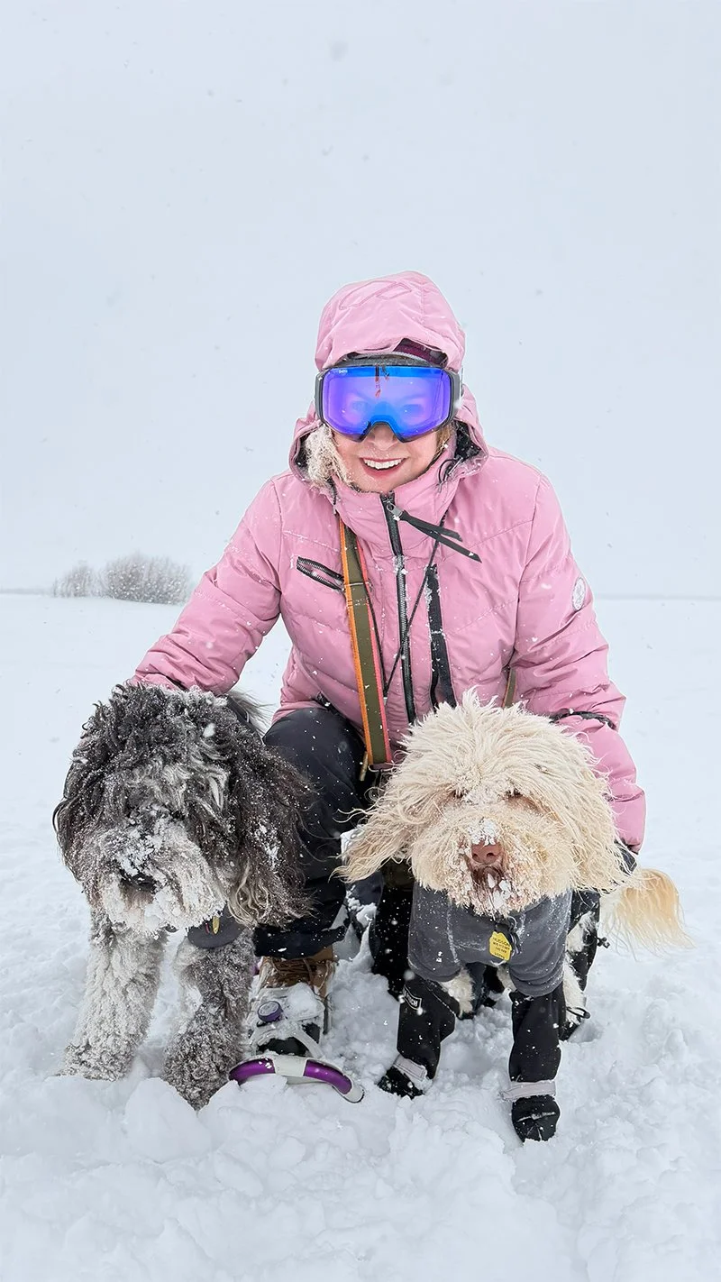 Where Ice Meets Fire