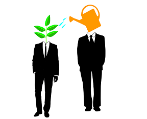 Do you have a mentor?