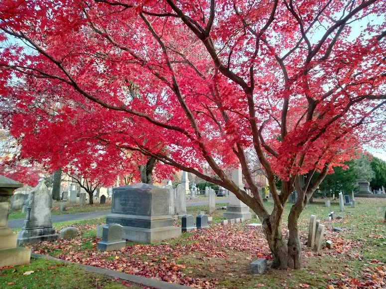 Grove Street Burial Ground in the fall, New Have, Connecticut