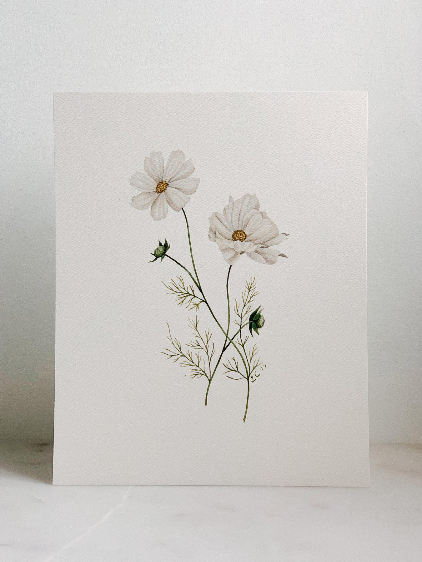 White Flower Art.jpg