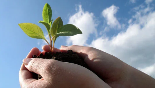 In giving, you receive. Or do you?