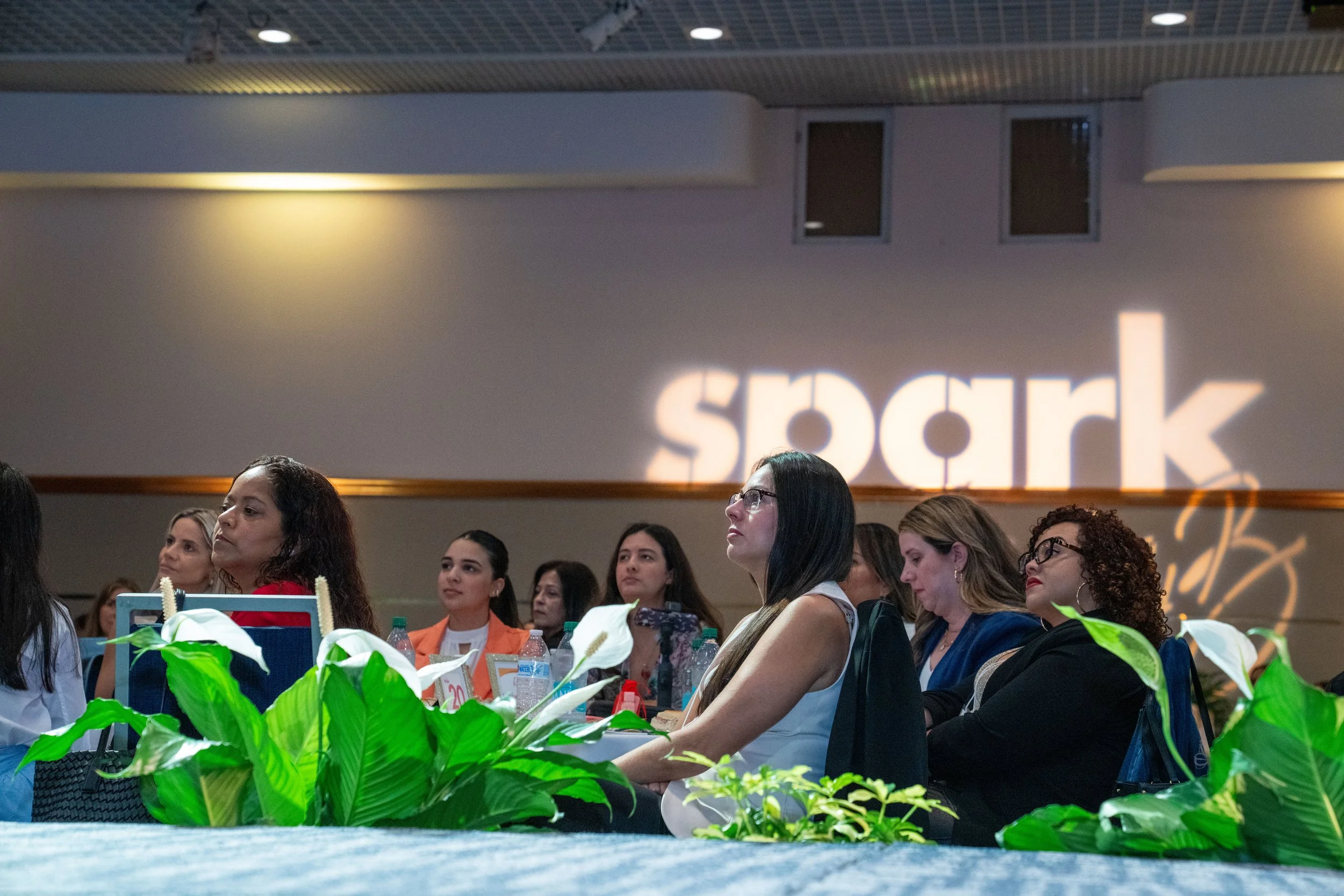 Spark with Luly B - 2025_263.jpg