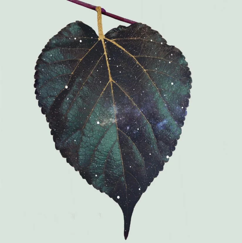 The Sapling