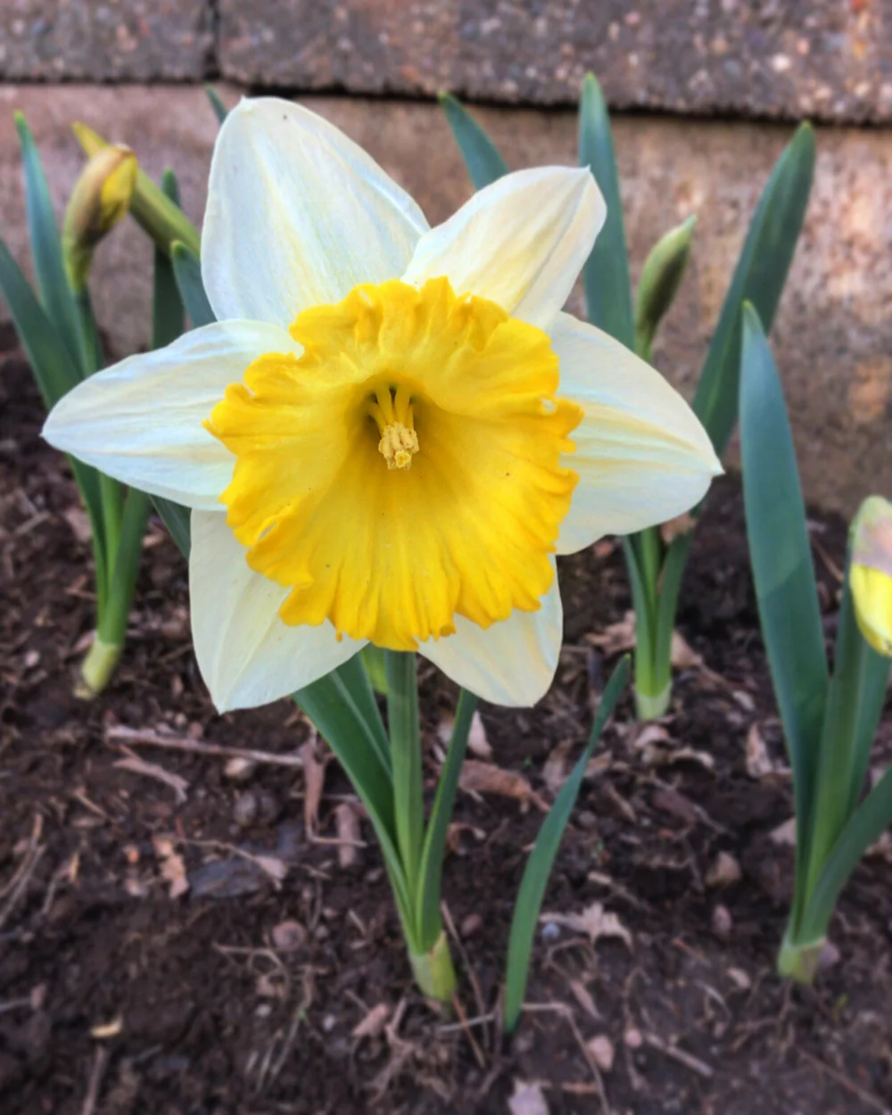 116B20DA-7102-4D1D-8BC8-A1A151A57C20 2.JPG