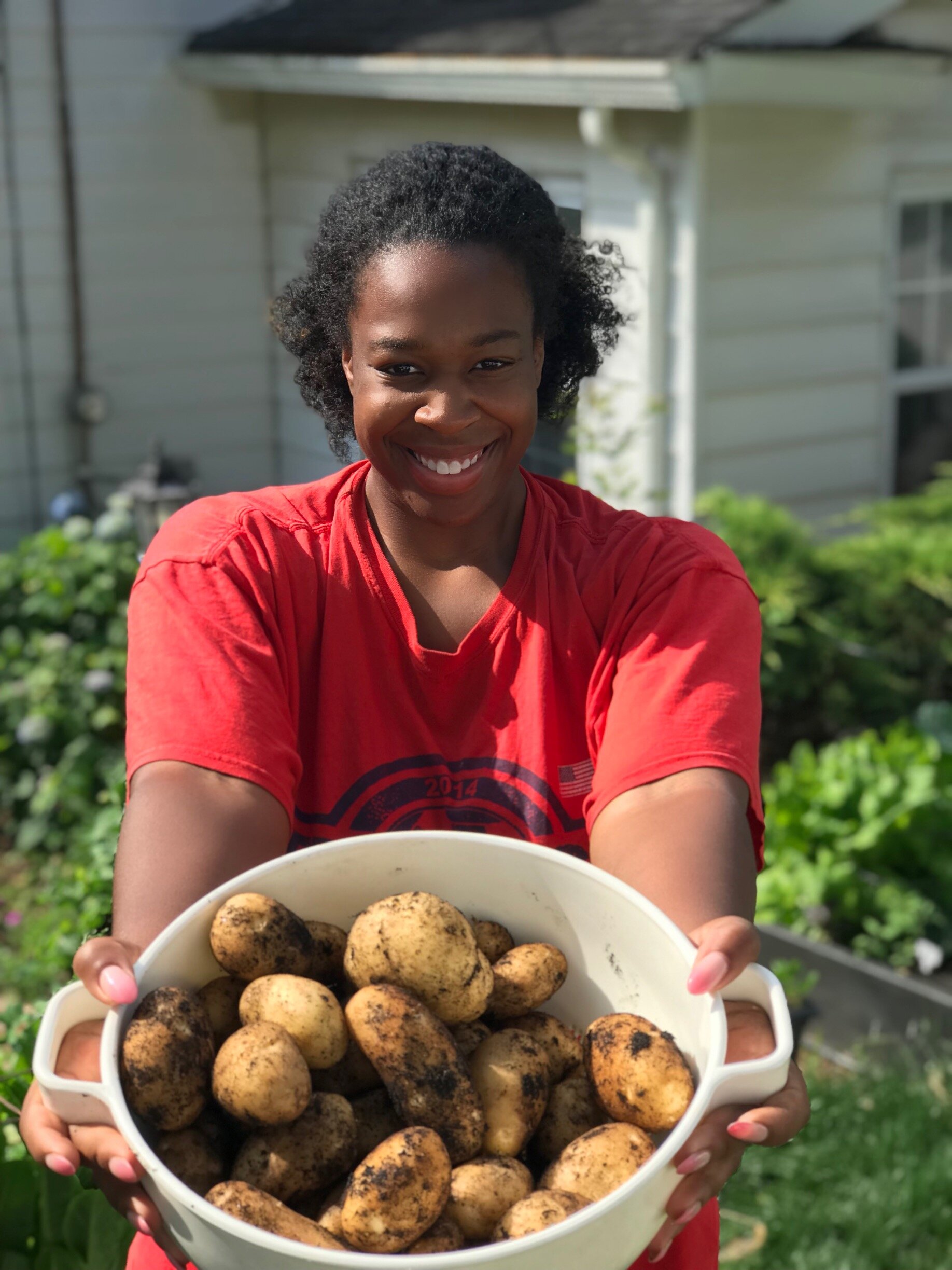 Potato Harvest 2021