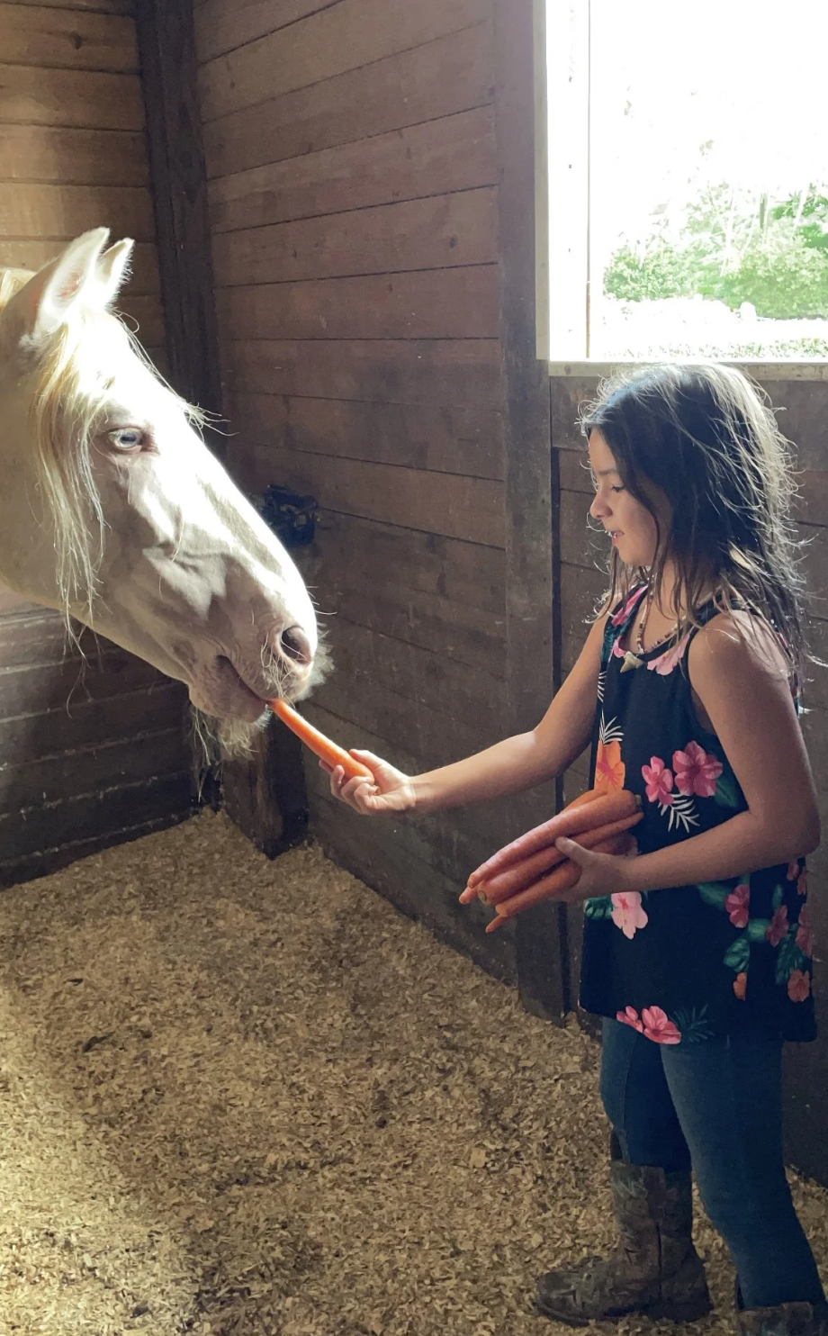 Screenshot 2025-12-13 at 4.27.26 PM.png