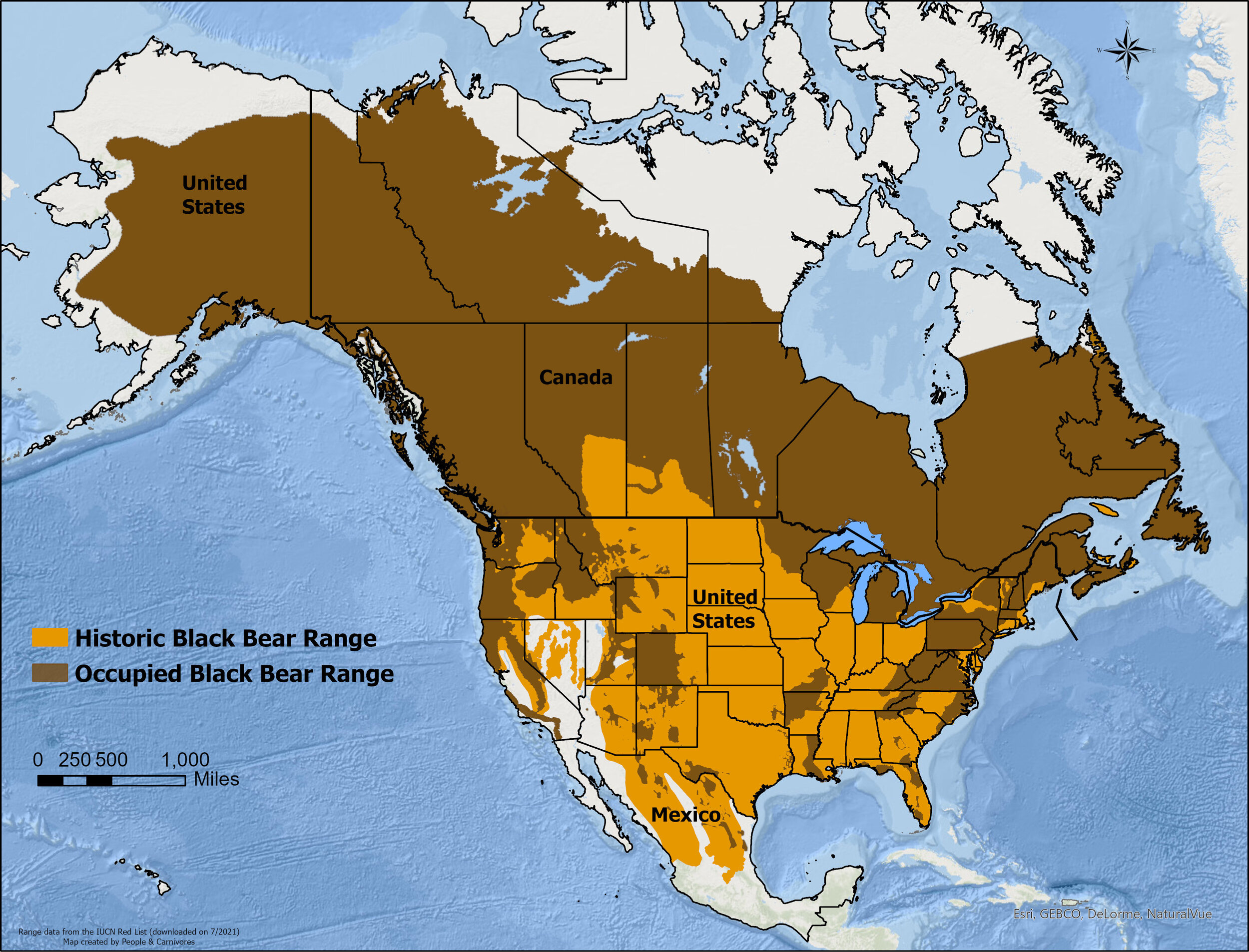 Black Bear Habitat Map