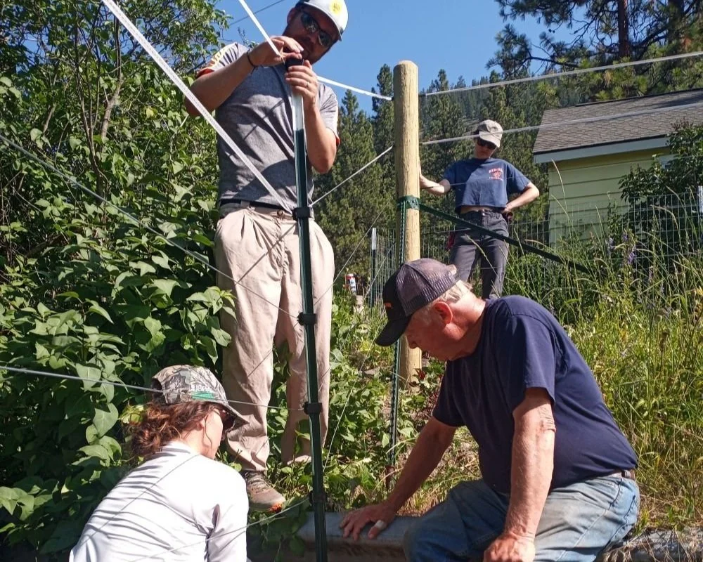 Coming Together for Bears