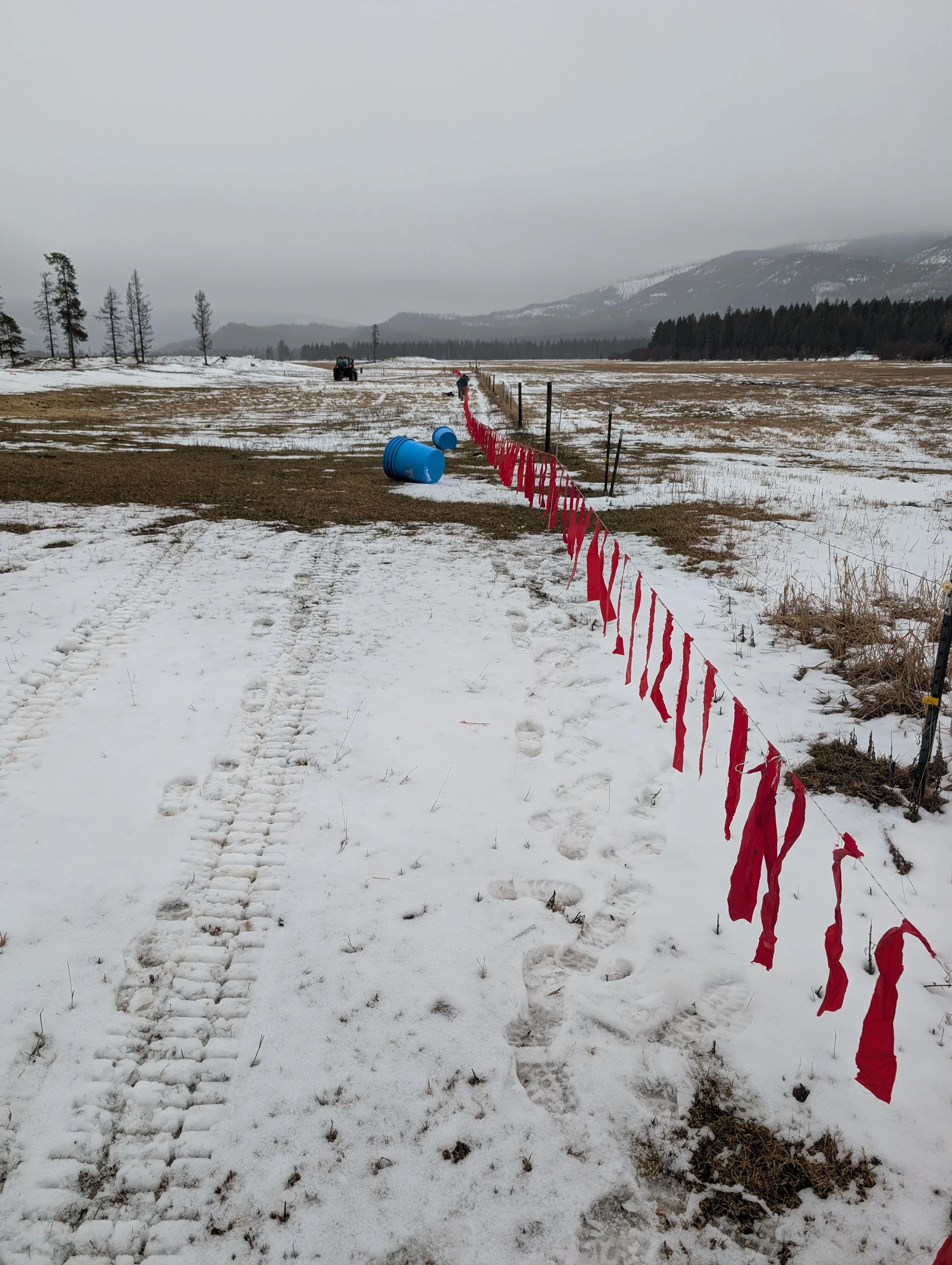 Fladry Fundamentals: Insights From the P&amp;C Team 