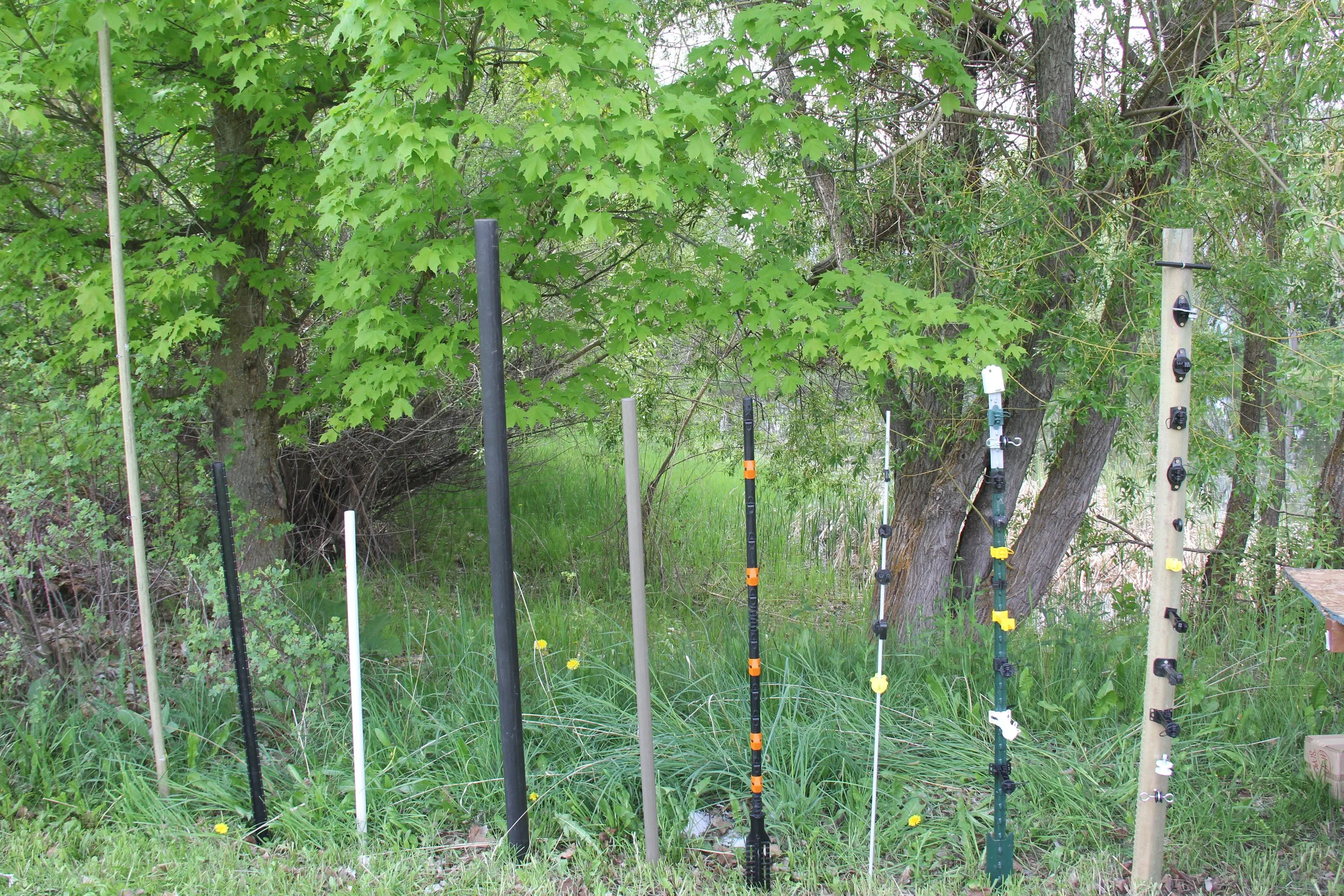 People and Carnivores