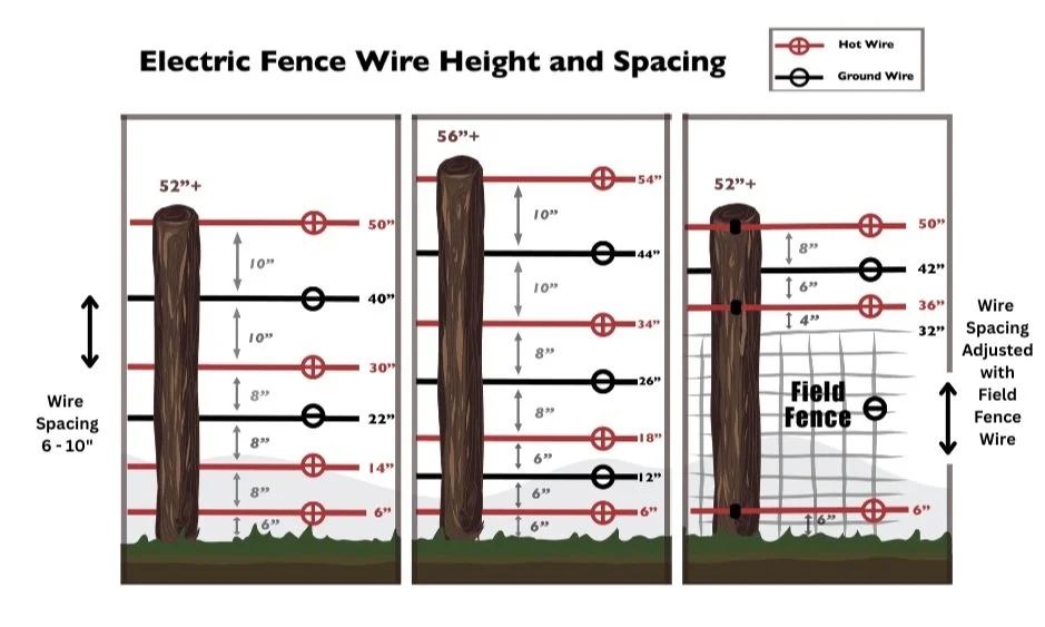 People and Carnivores