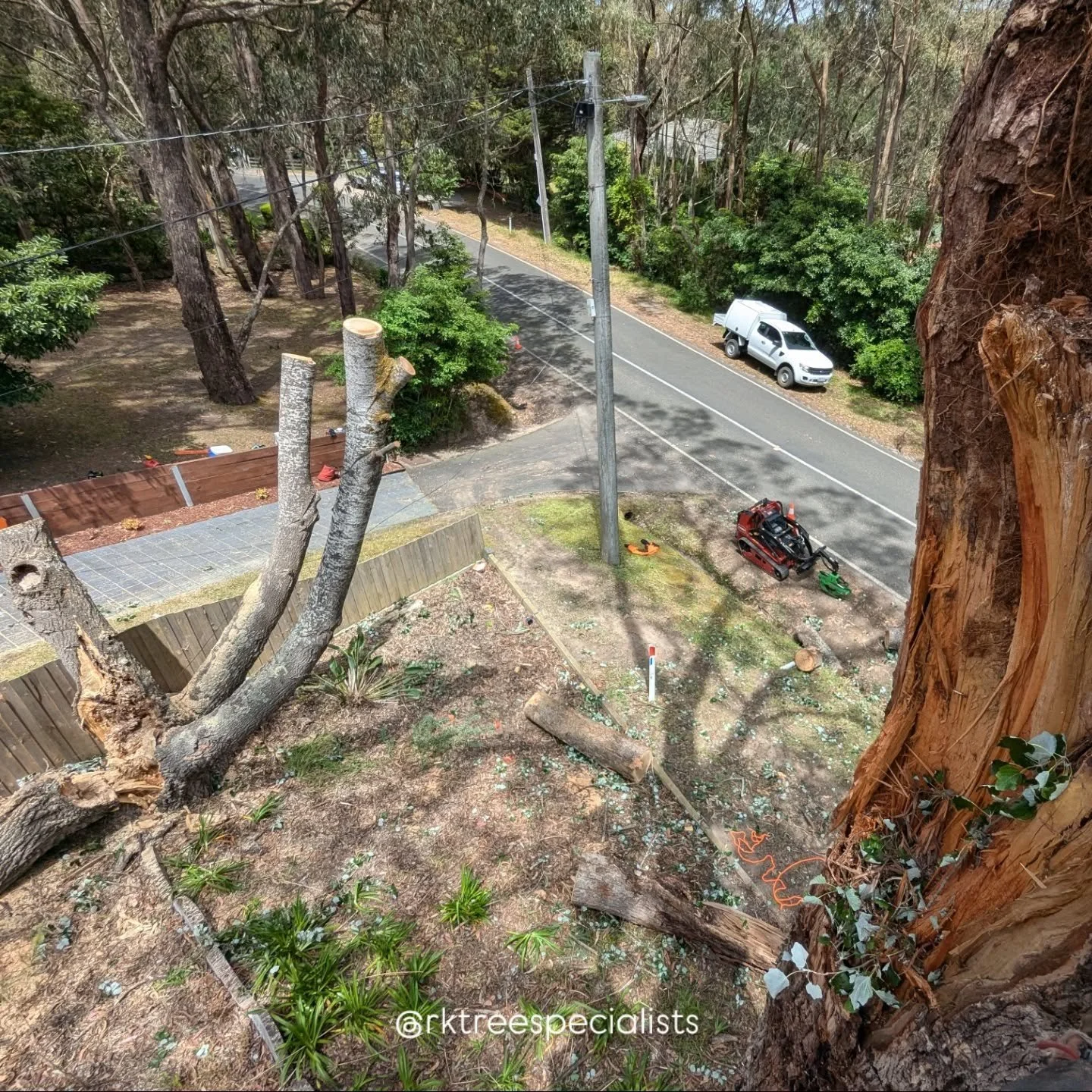 Tree removal jobs come in all shapes and sizes! Some are pretty straightforward, but others are much more complex, and require specialised skills and lots of experience.
In this case in Newborough, a large multi-stemed Eucalypt dropped a large bran