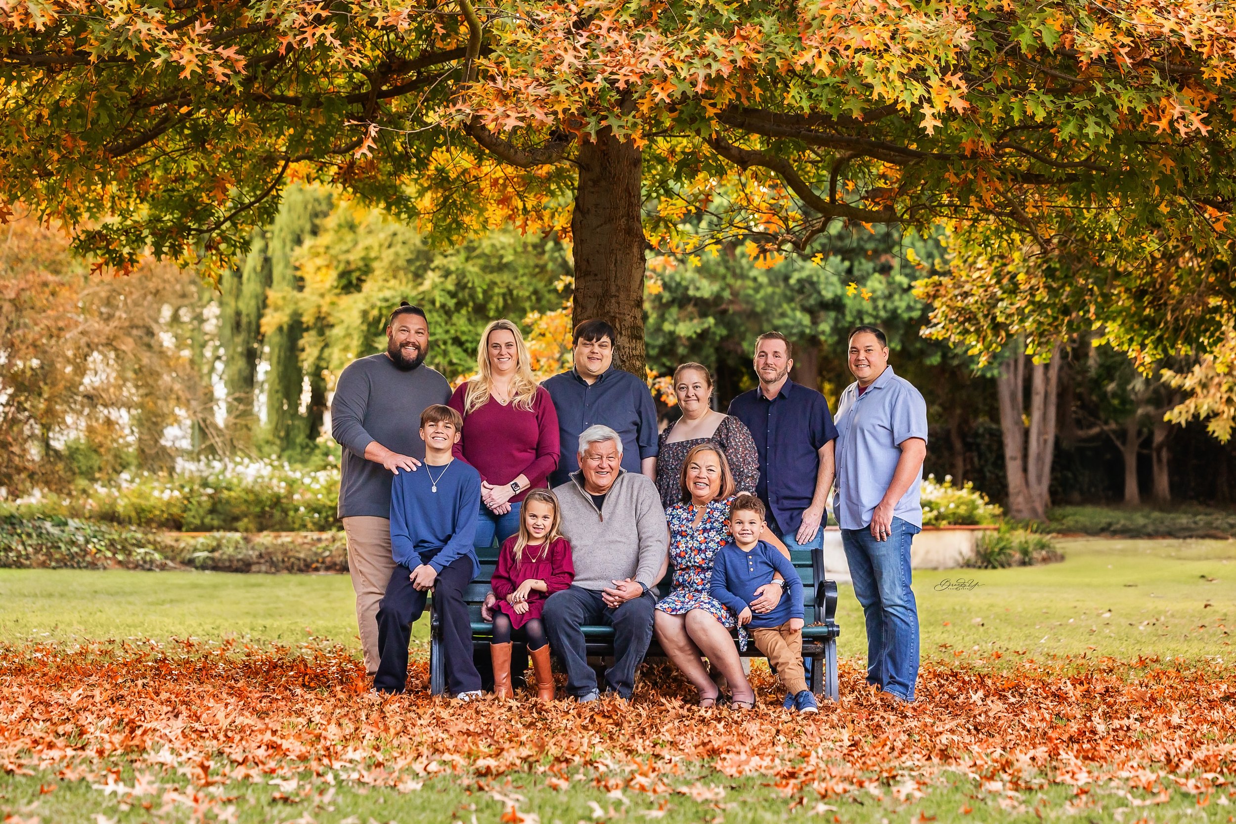5 Reasons to Book Family Photos This Year