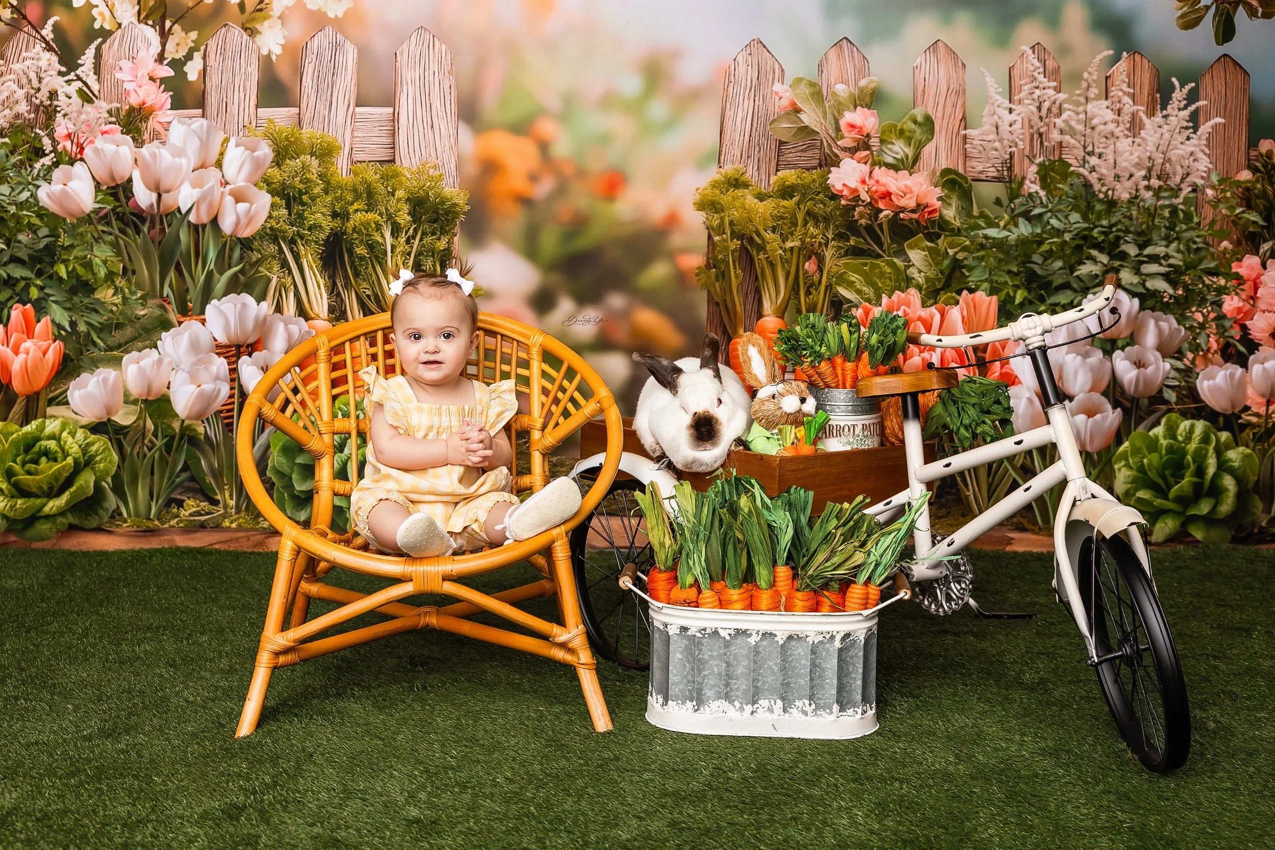 20250323-Easter-session-Aurora-0118.jpg