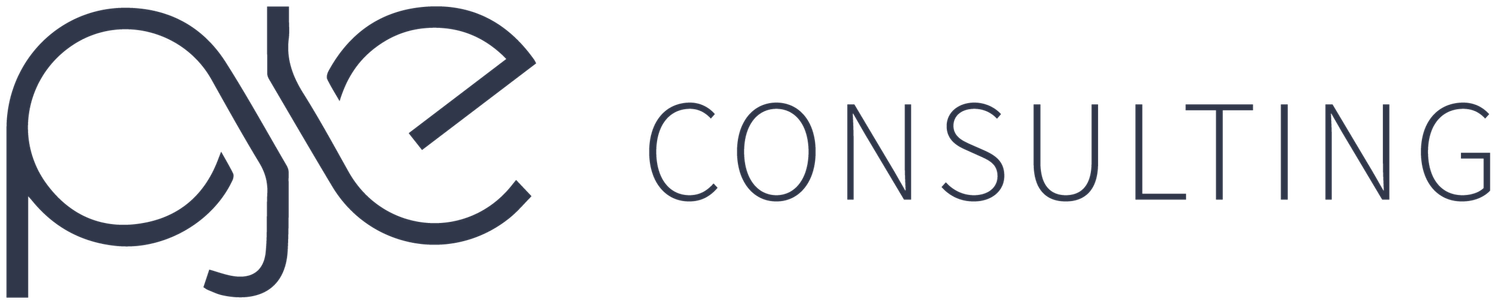 PJE Consulting