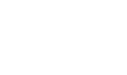 The Painted Pony