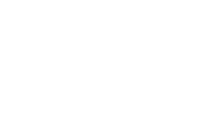 The Painted Pony