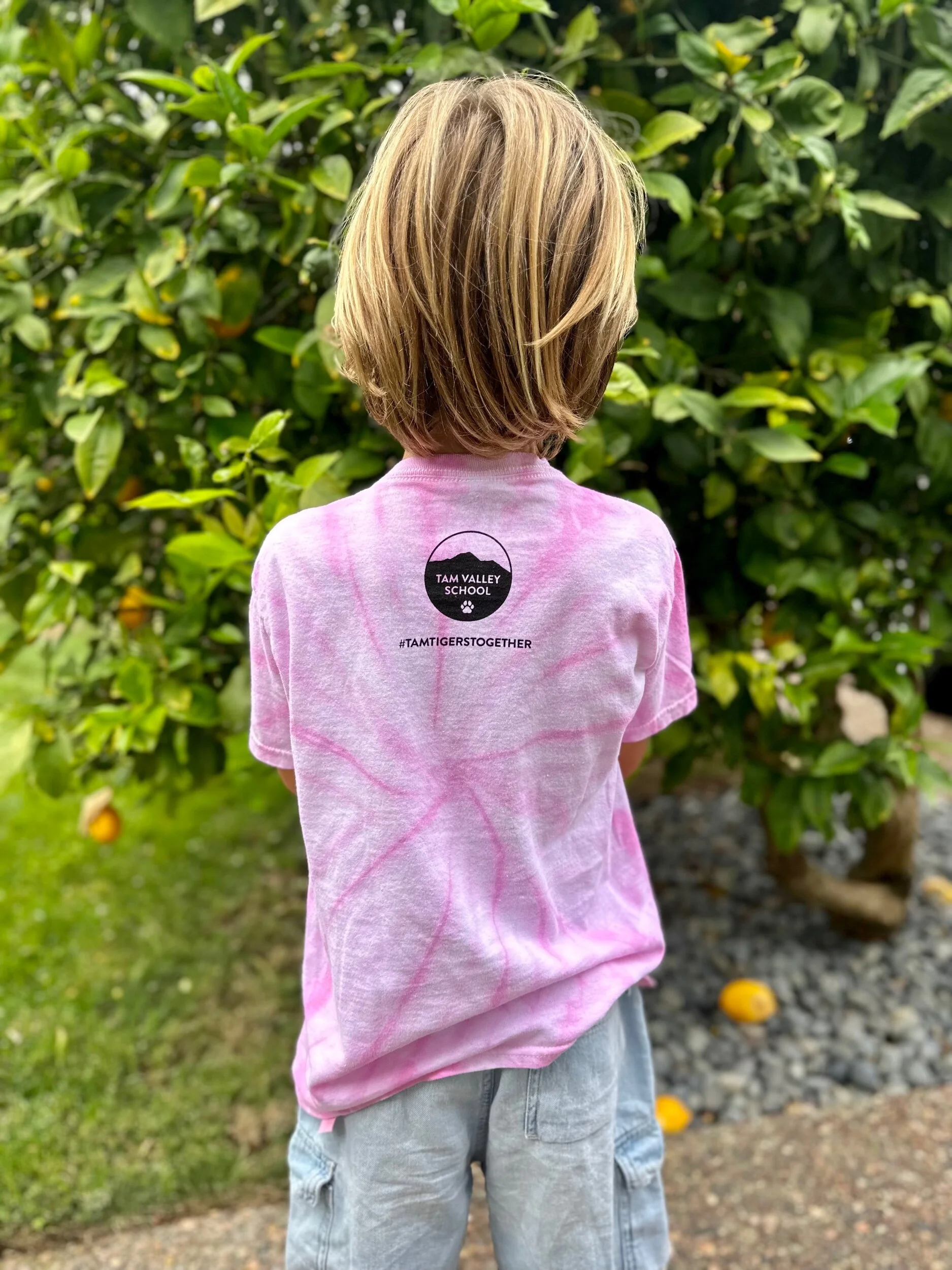 87B8A8C6-D280-4E00-B14C-EC3E65EEFCAA