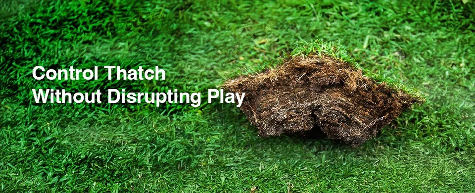 T-THATCH BANNER TEMPLATE.jpg