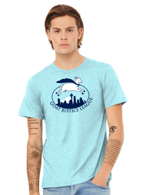 Heather Ice Blue T-Shirt