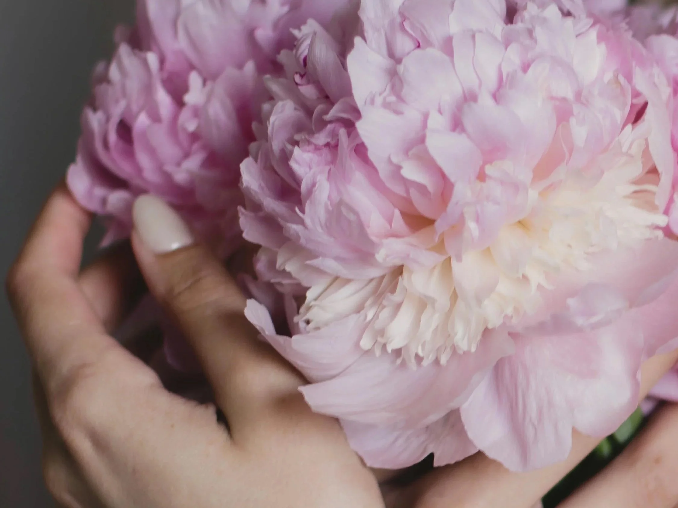 Something Beautiful is Coming for Mother’s Day