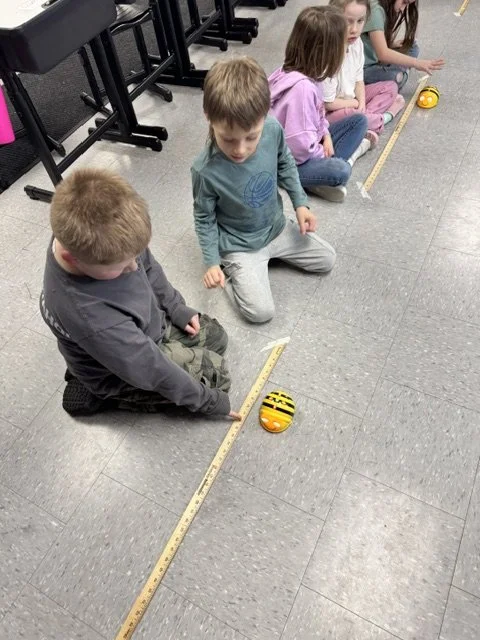image23.jpeg