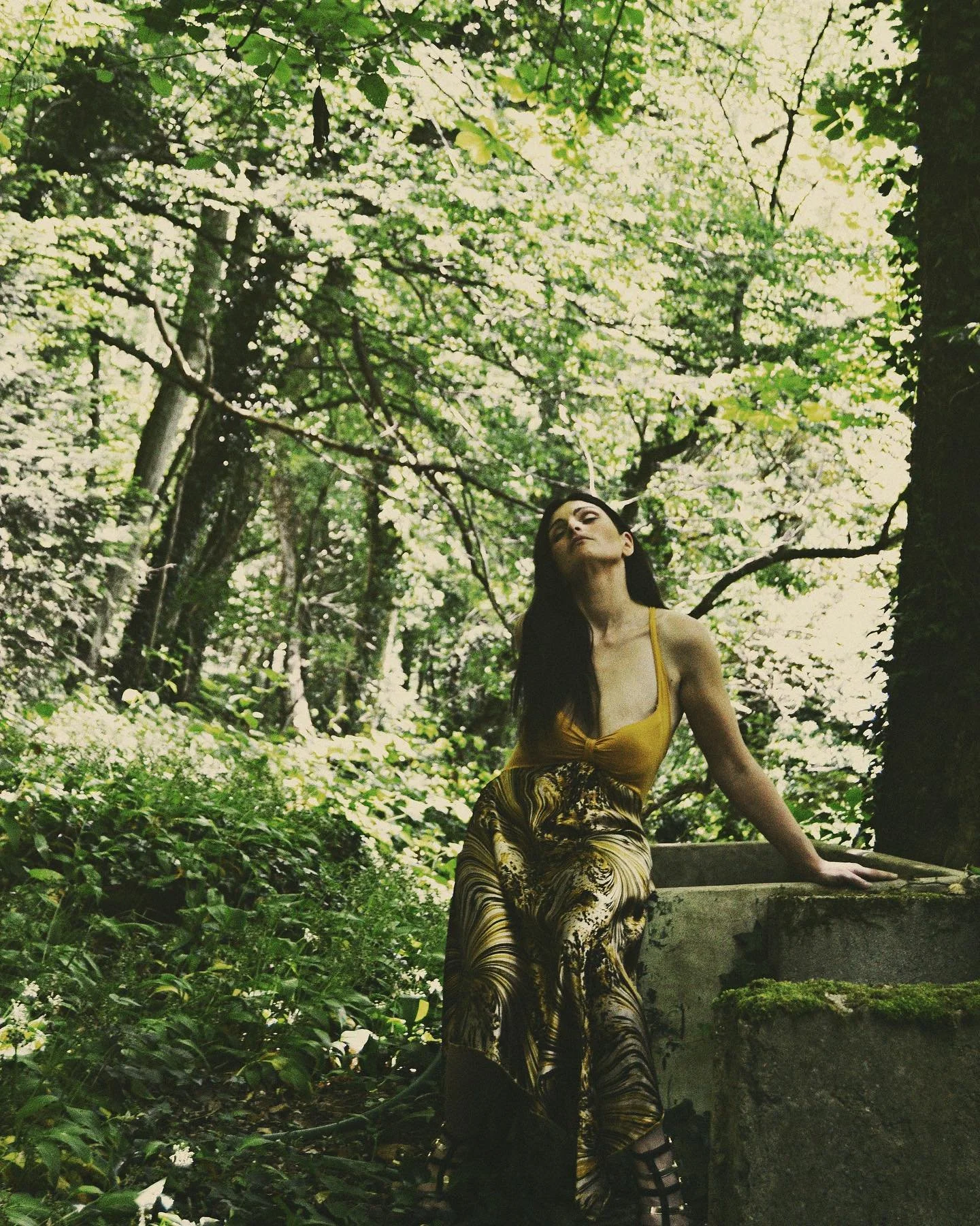 (2017) Une superbe rencontre en plus d'&ecirc;tre l'un de mes shootings favoris, en plein c&oelig;ur d'une for&ecirc;t d'Argonne avec la magnifique St&eacute;phanie S.