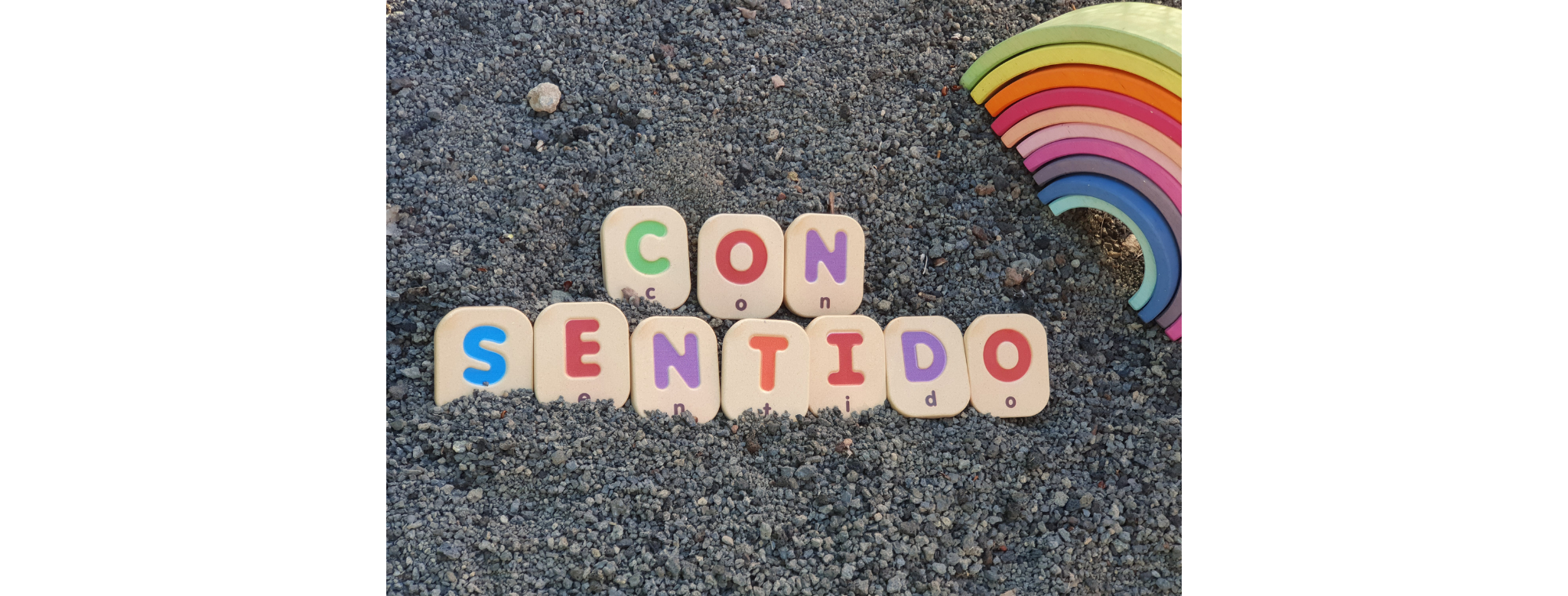 ¿Por qué Con Sentido y por qué una brújula?