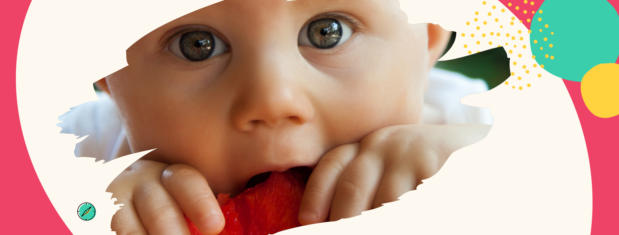 Alimentación complementaria ¿Por dónde empiezo?