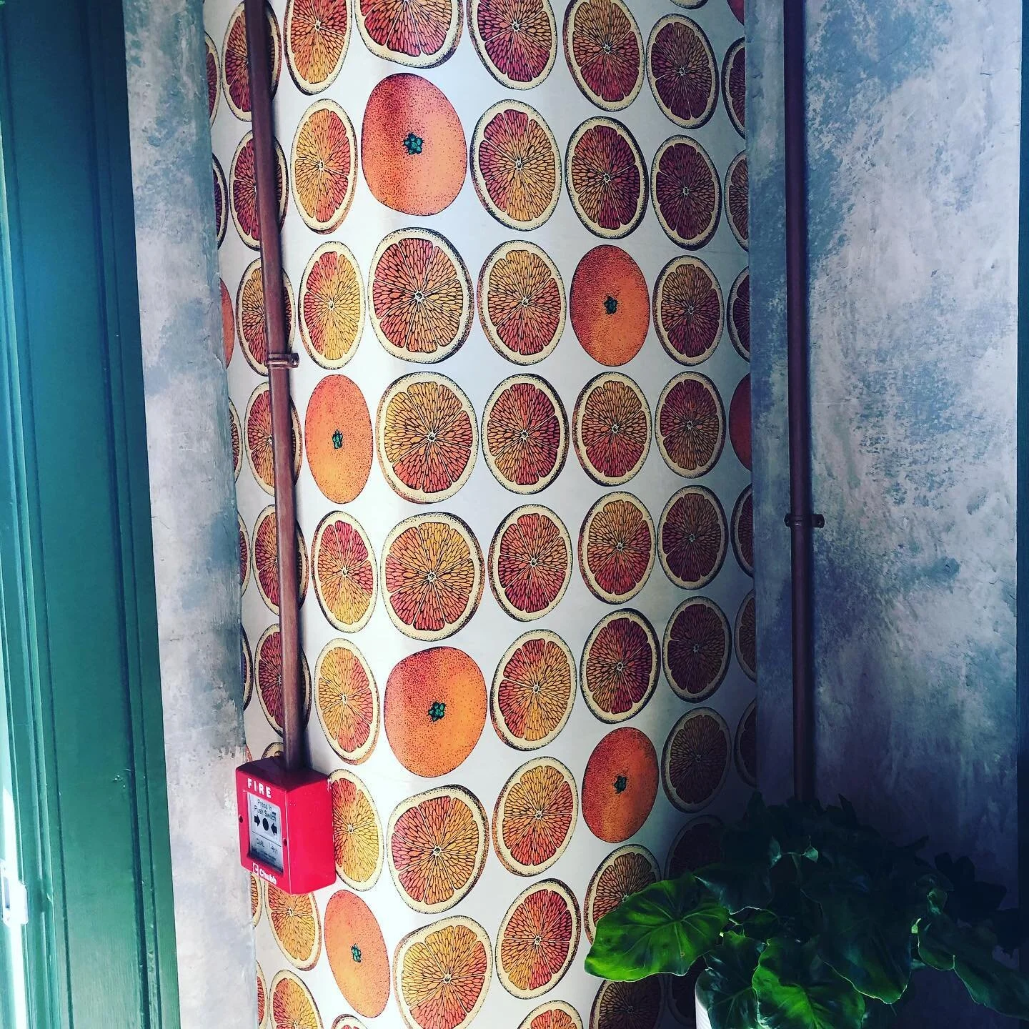 These walls could certainly talk...

Finally made it to @florascakestudio 👌🍰☕️located in the Central Fire Station building. 
A gorgeous little corner and nook of a beautiful building where many stories have been told and many more will be listened 