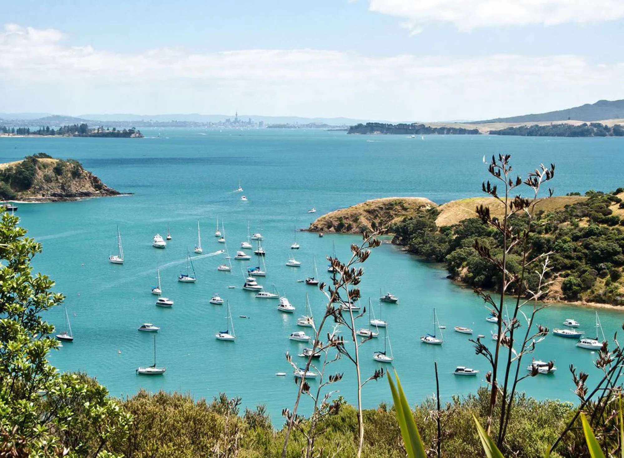 Waiheke-Island-9.jpg