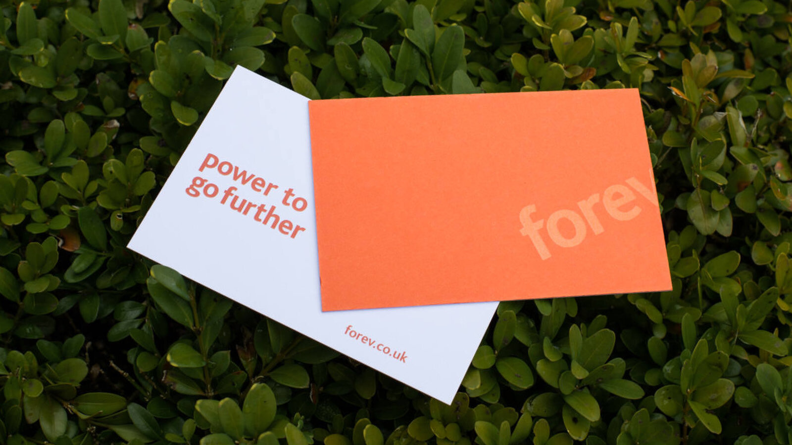 Forev-business-cards.jpg