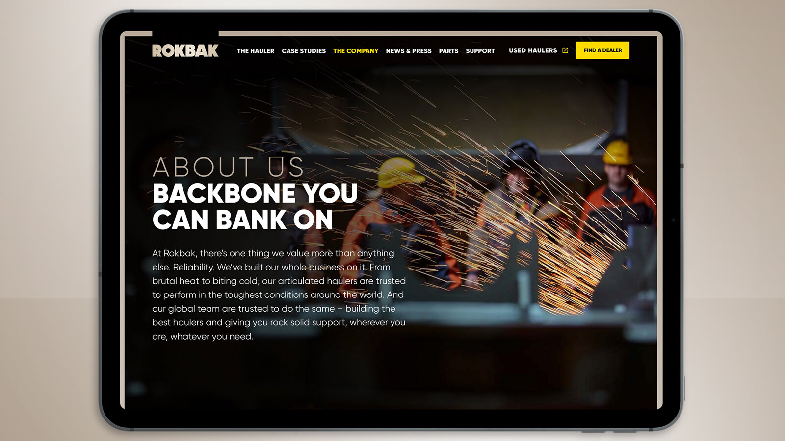 Rokbak-Website3.jpg