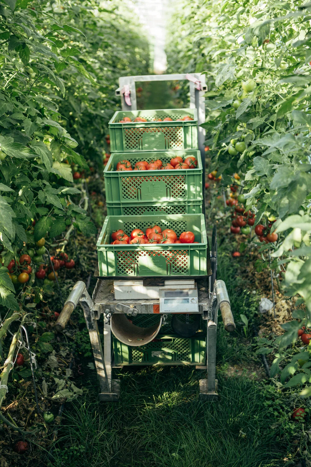 SilviaWolfFotografie-Piluweri-Unternehmenskomunikation-11.jpg