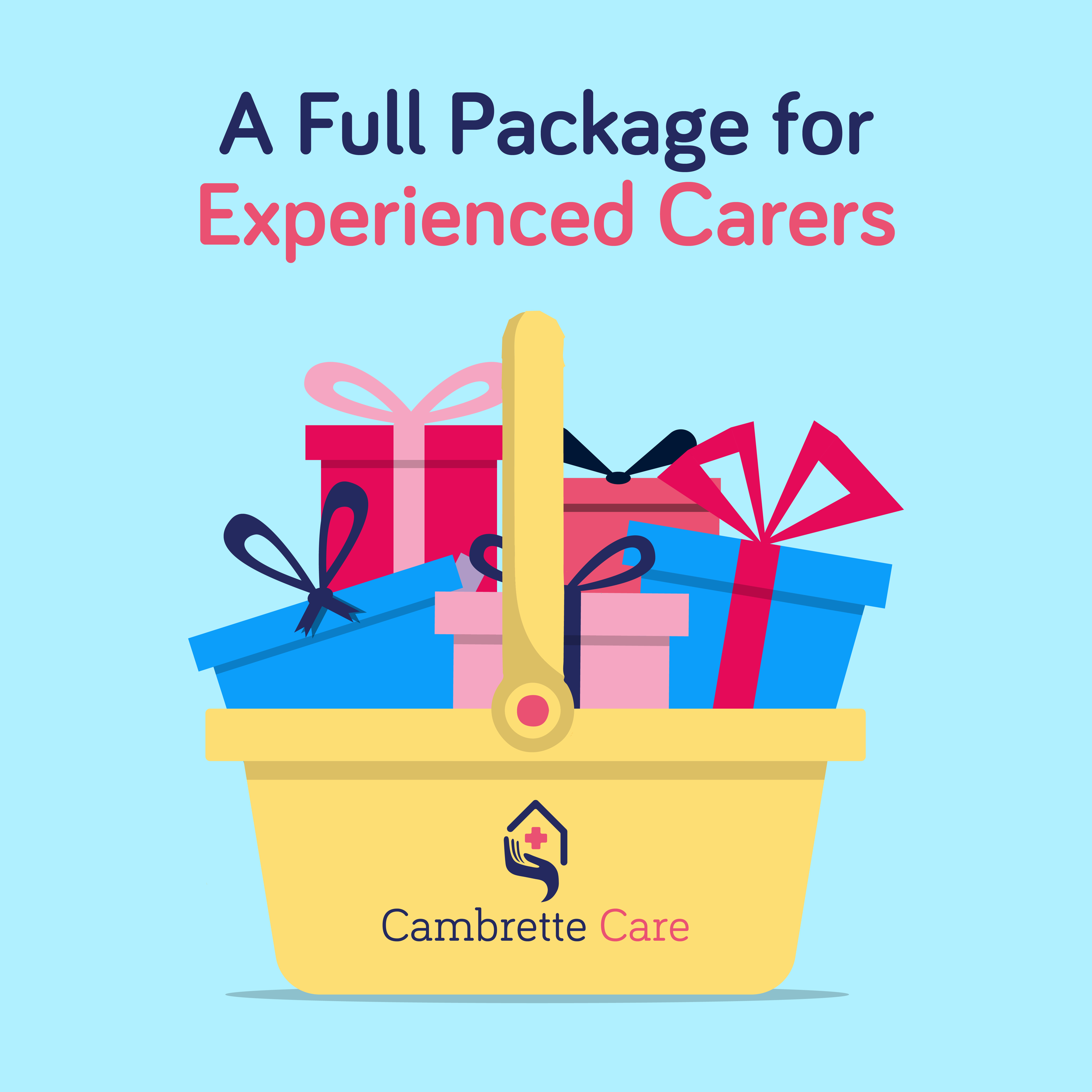 Experienced Carers Wanted