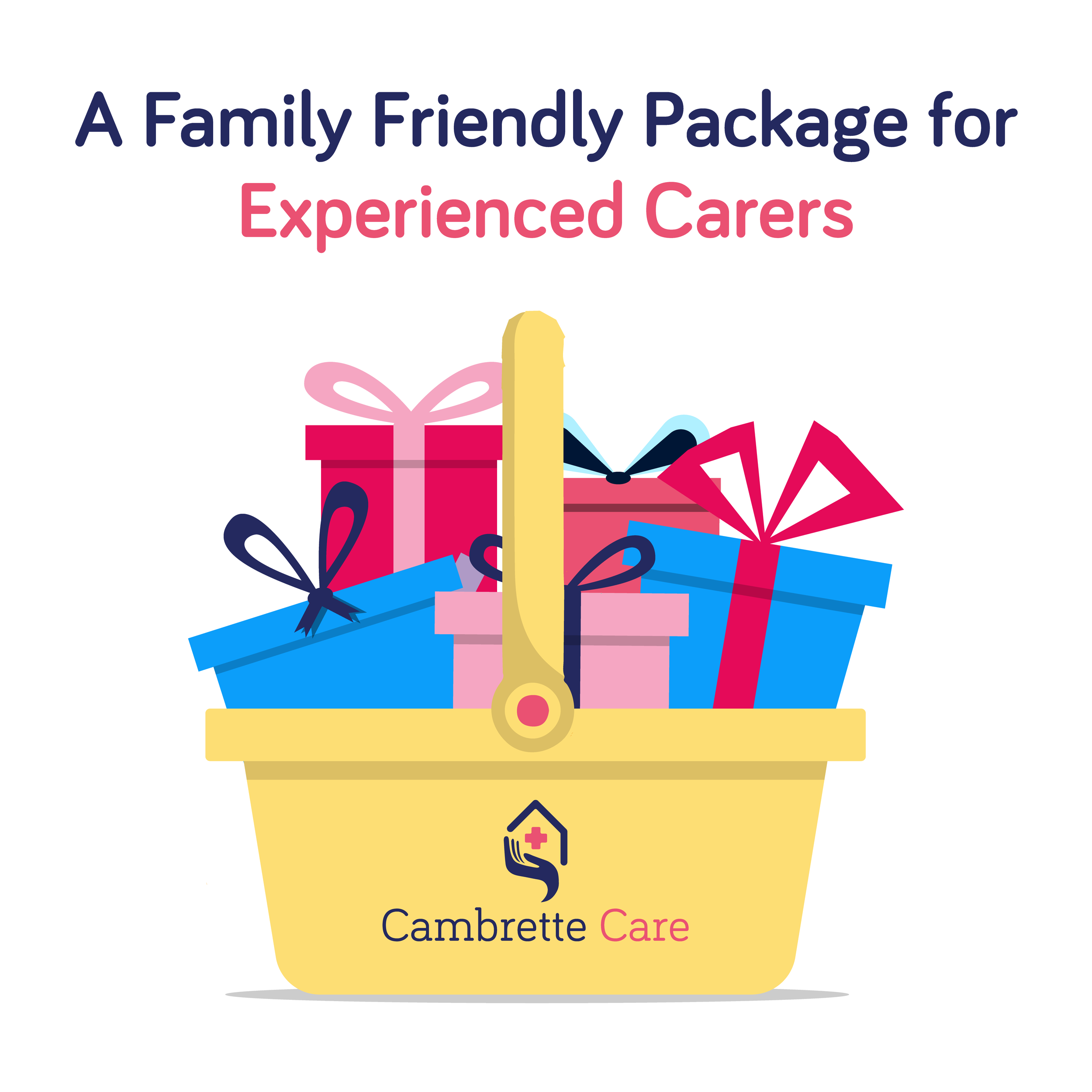 Experienced Carers Wanted