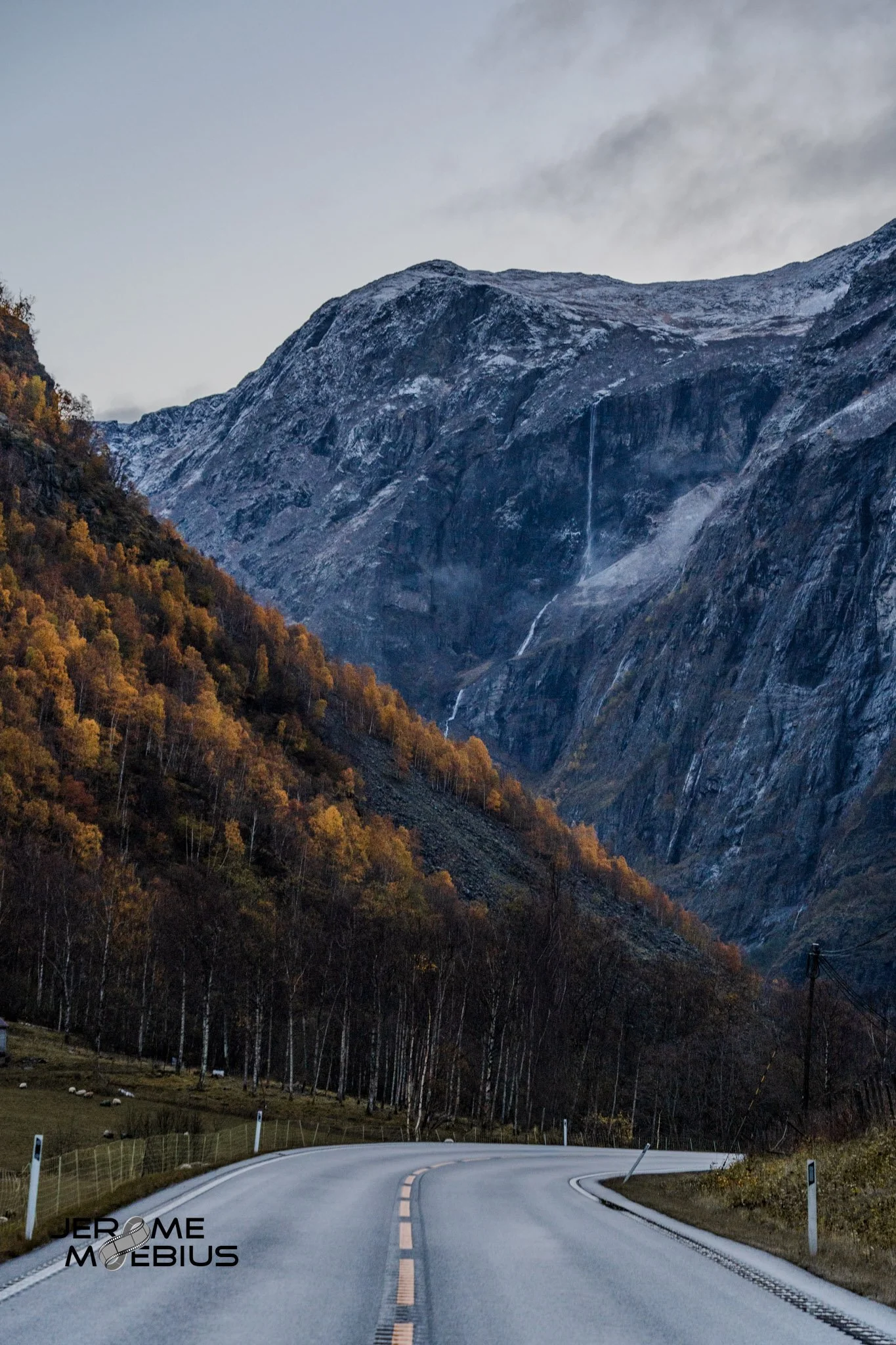 _DSC9373.jpg