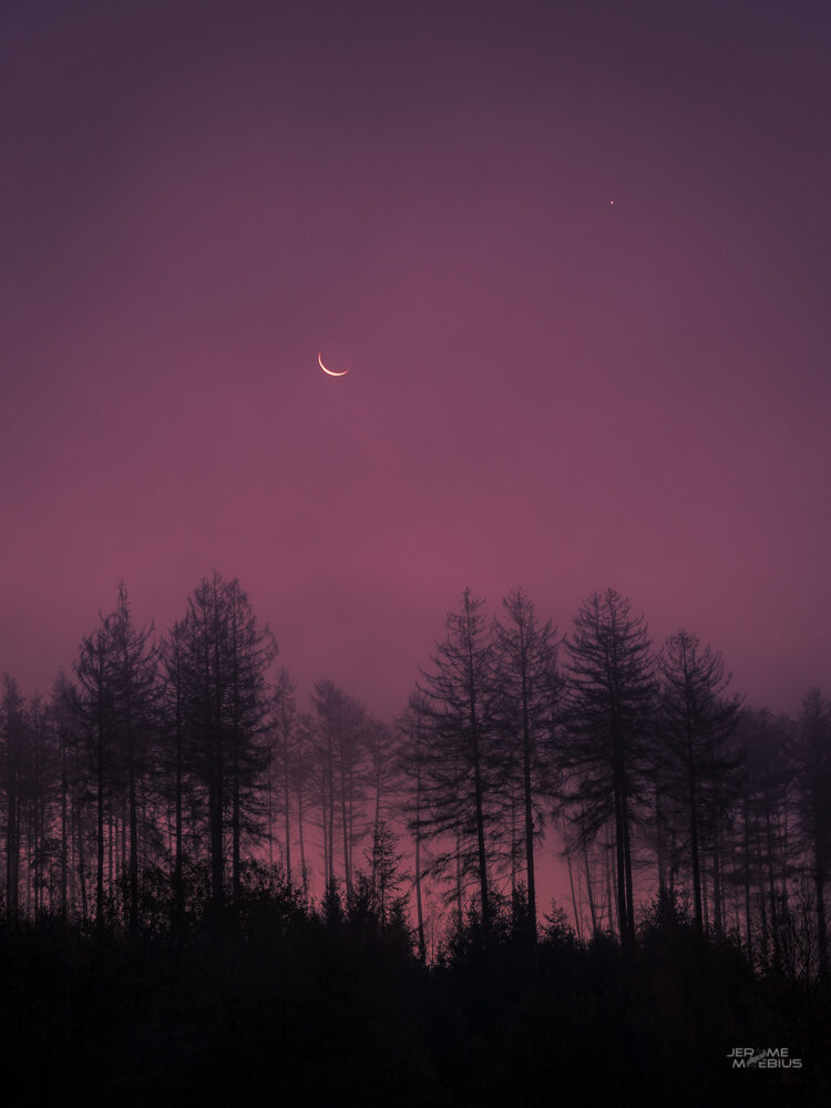 A7_03036.jpg