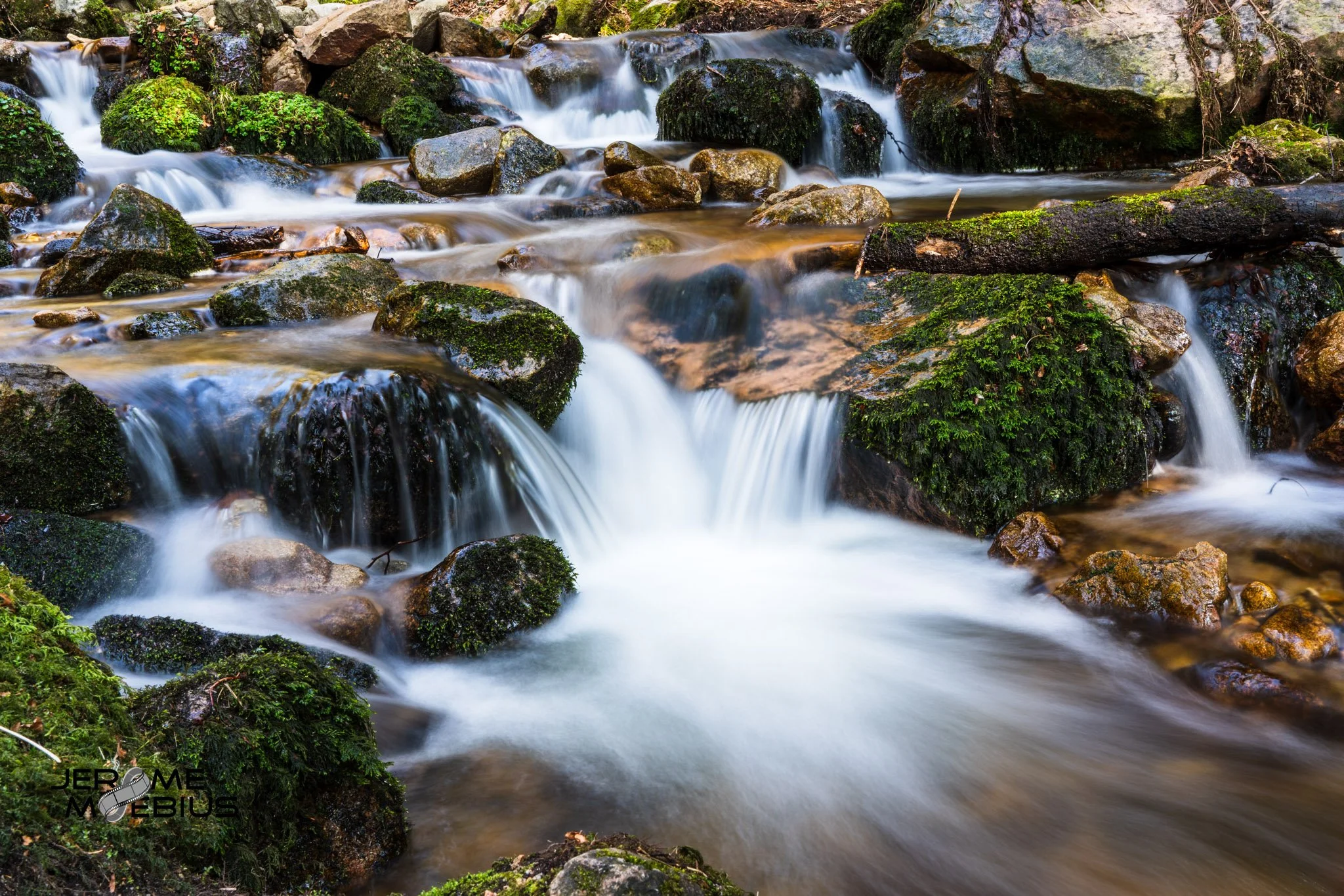 _DSC2506-2.jpg