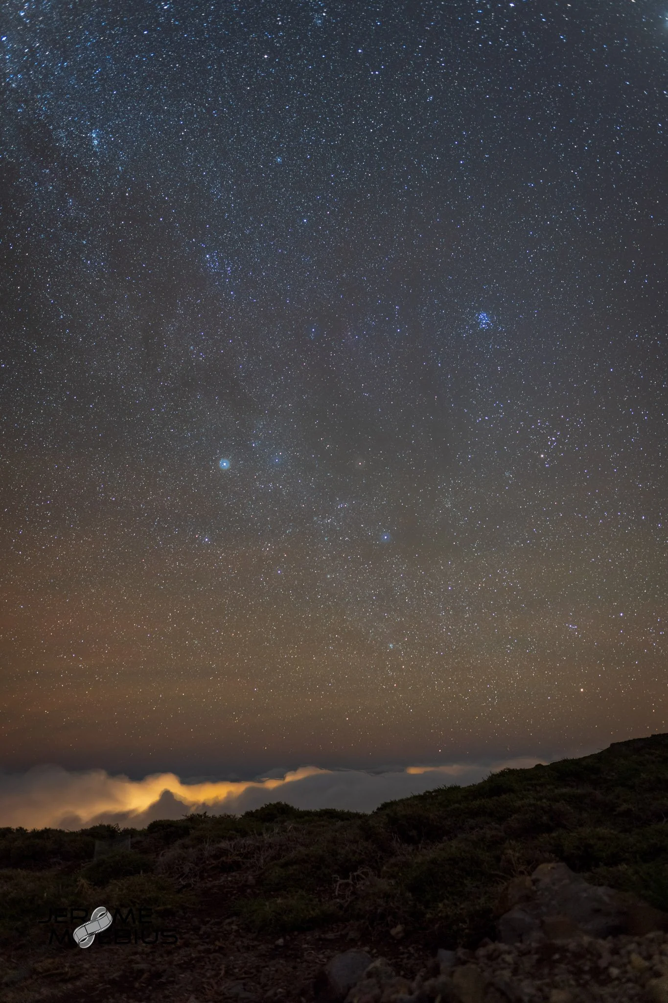 _DSC5178-Mean Min Hor Star Dupe.jpg
