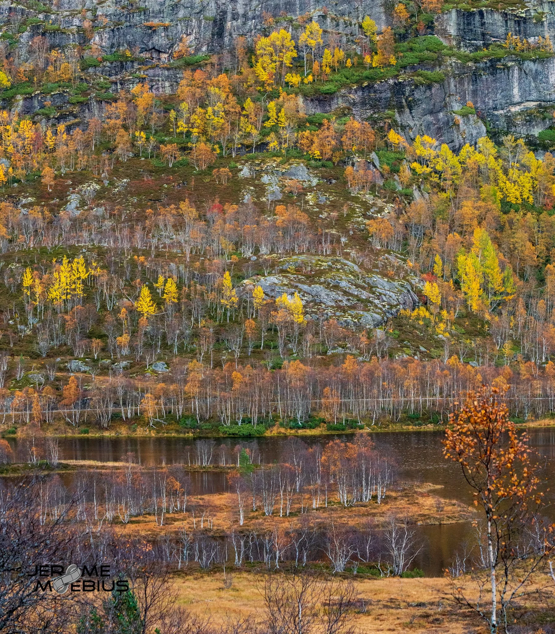 _DSC8300.jpg